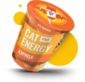 Cat Energy с курицей